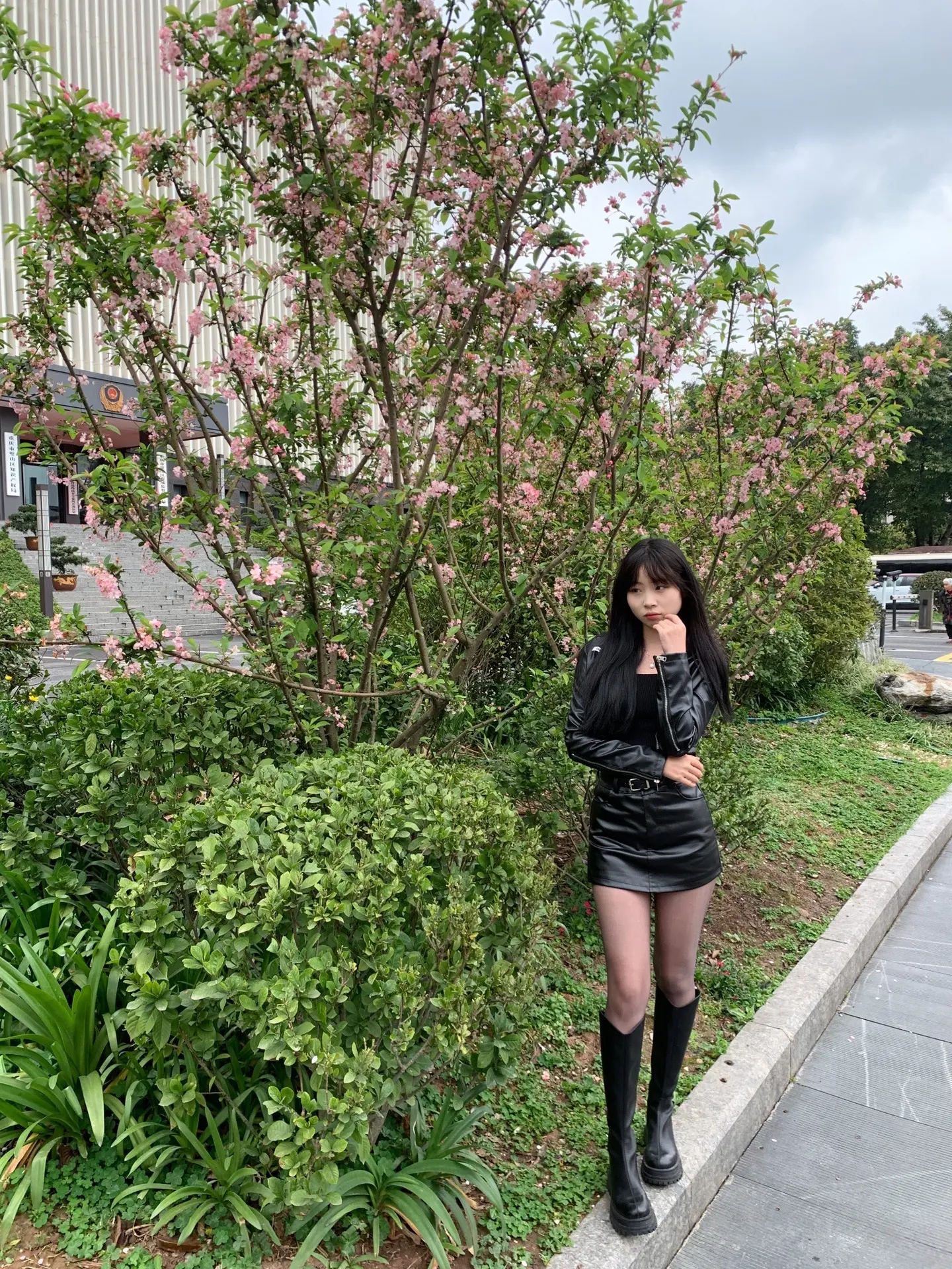 凌晨四点  我看见海棠花未眠