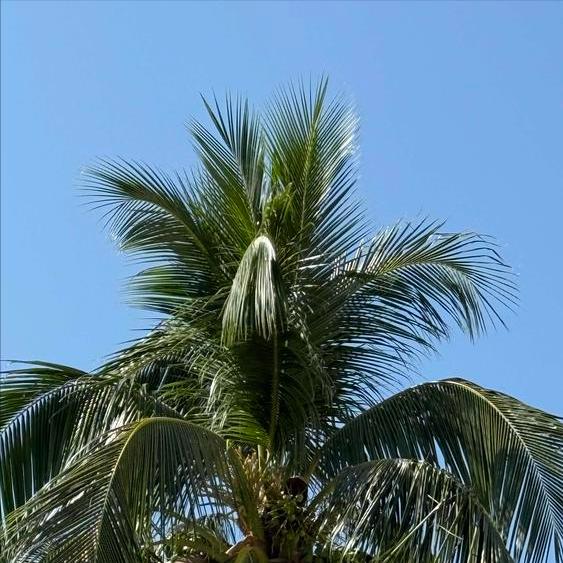 香港大埔受灾救援现场已成功救出55人   期待黄金救援72小时创造更多生命奇迹