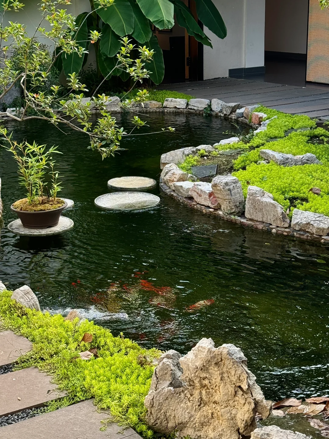合肥新开的！！庭院咖啡店！！美出新高度🍃