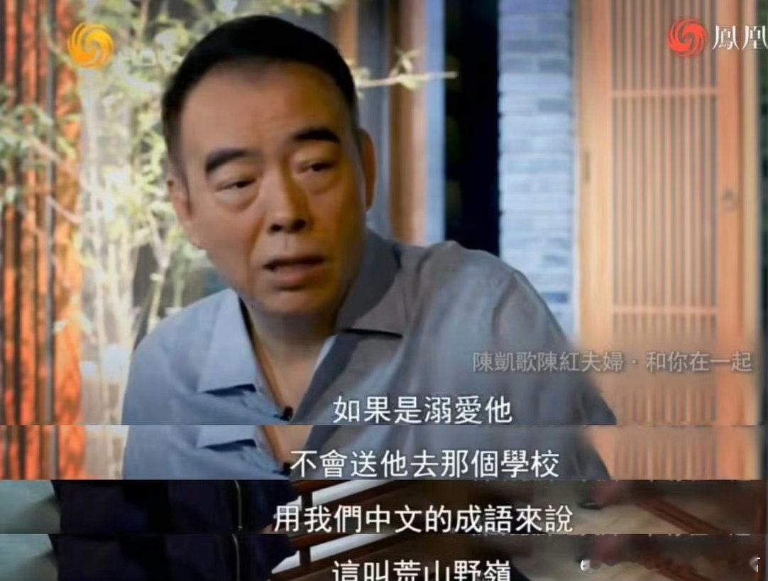 陈凯歌的教育理念 最好的教育不是替孩子挡风遮雨，而是教他在风雨里站稳。陈凯歌这份