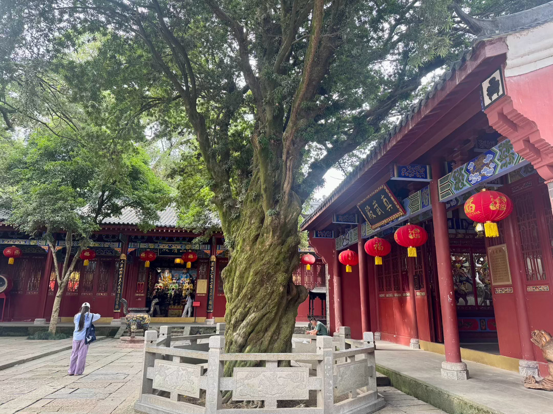 人的一切痛苦，本质上都是对自己的无能的愤怒……entj。这句话，说的太对了。这次