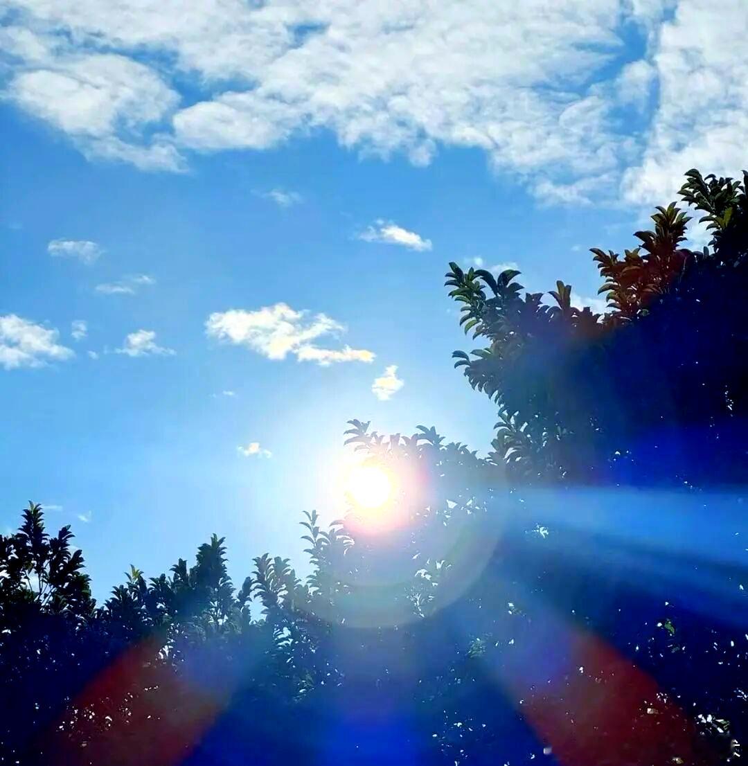 生活碎片冬日的早晨，阳光与云朵相互辉映，构成了一幅诗意画作。太阳如明珠，云朵似精