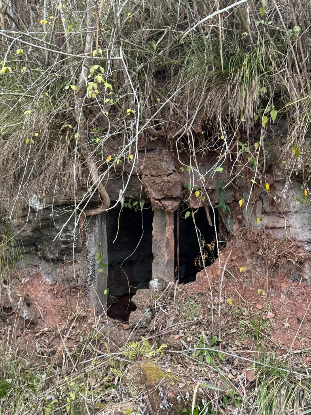 只有川渝人才知道的东西