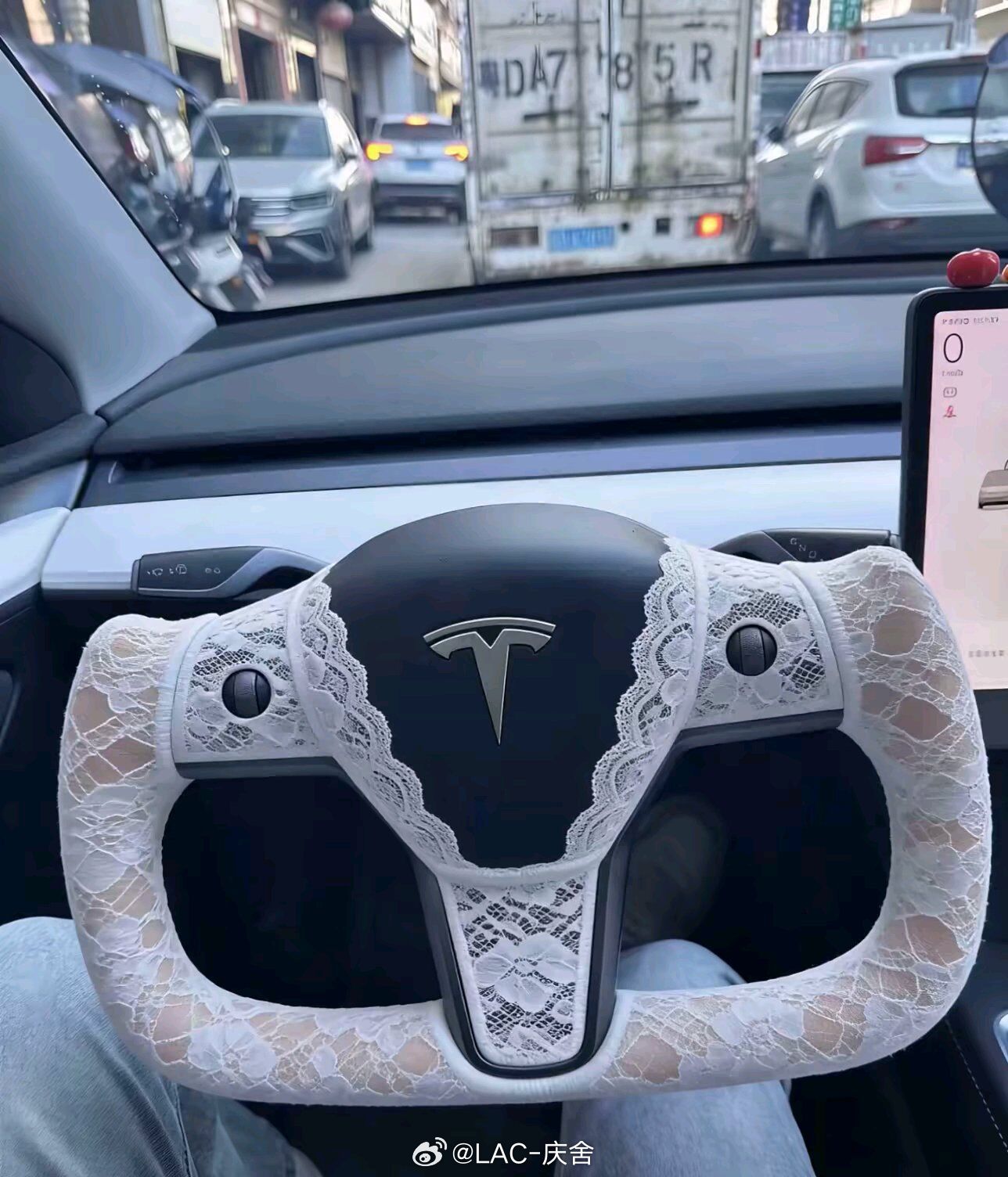 请你们形容一下这位特斯拉车主