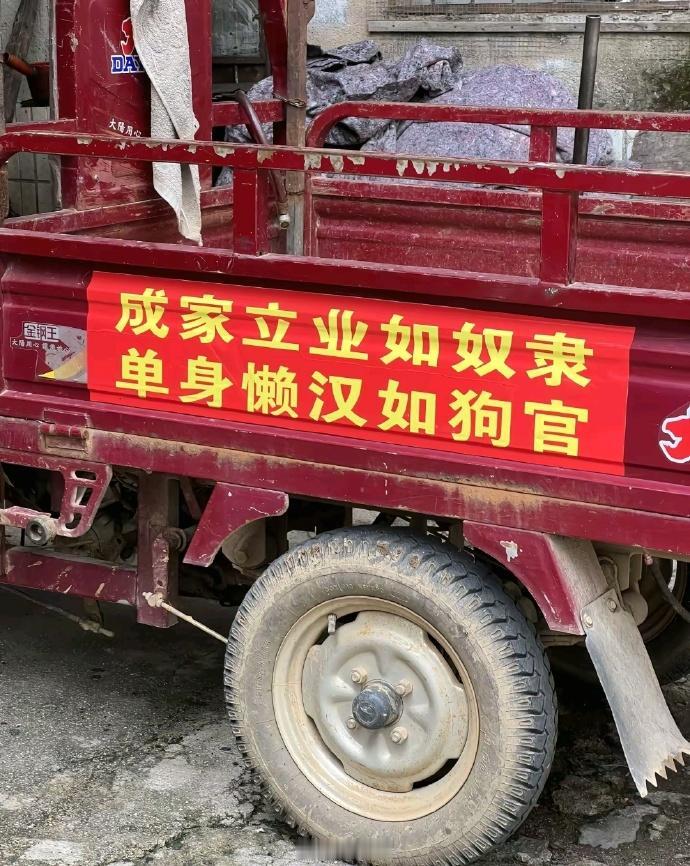 吃饱就是睡，没米找大队