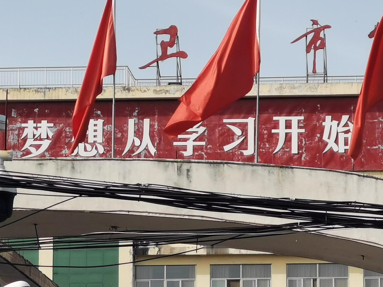 读书日想到的三个场景
今天是世界读书日，想起了三个场景，也许您也是景中人。
第一