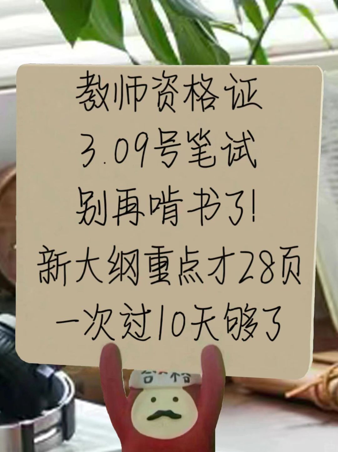24上教资，新大纲已出就这28页，进一个捞一个