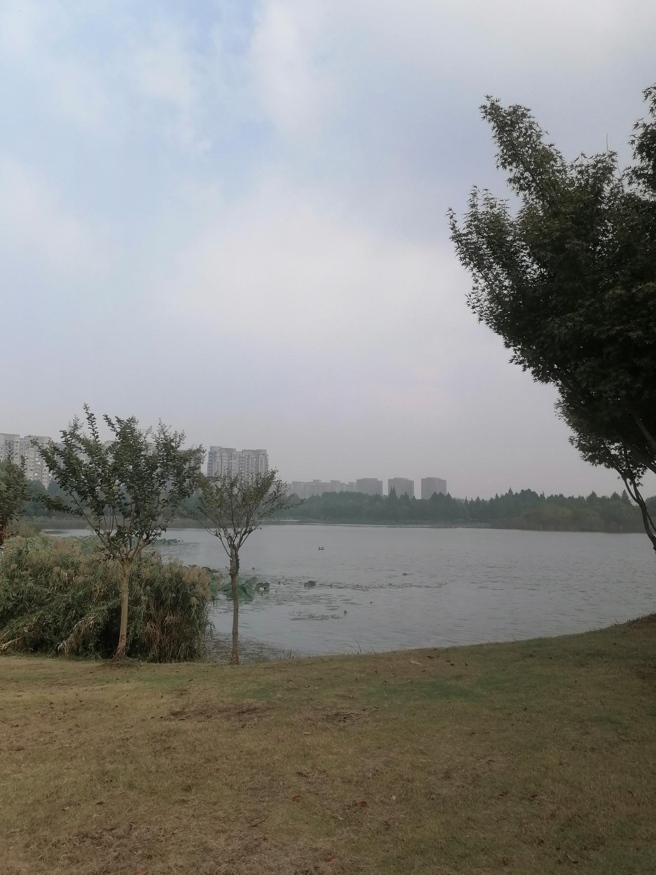 小孙子趁着秋假的空档，又在学校多请了两天假，我便带着他回老家认祖归宗。
这是小孙