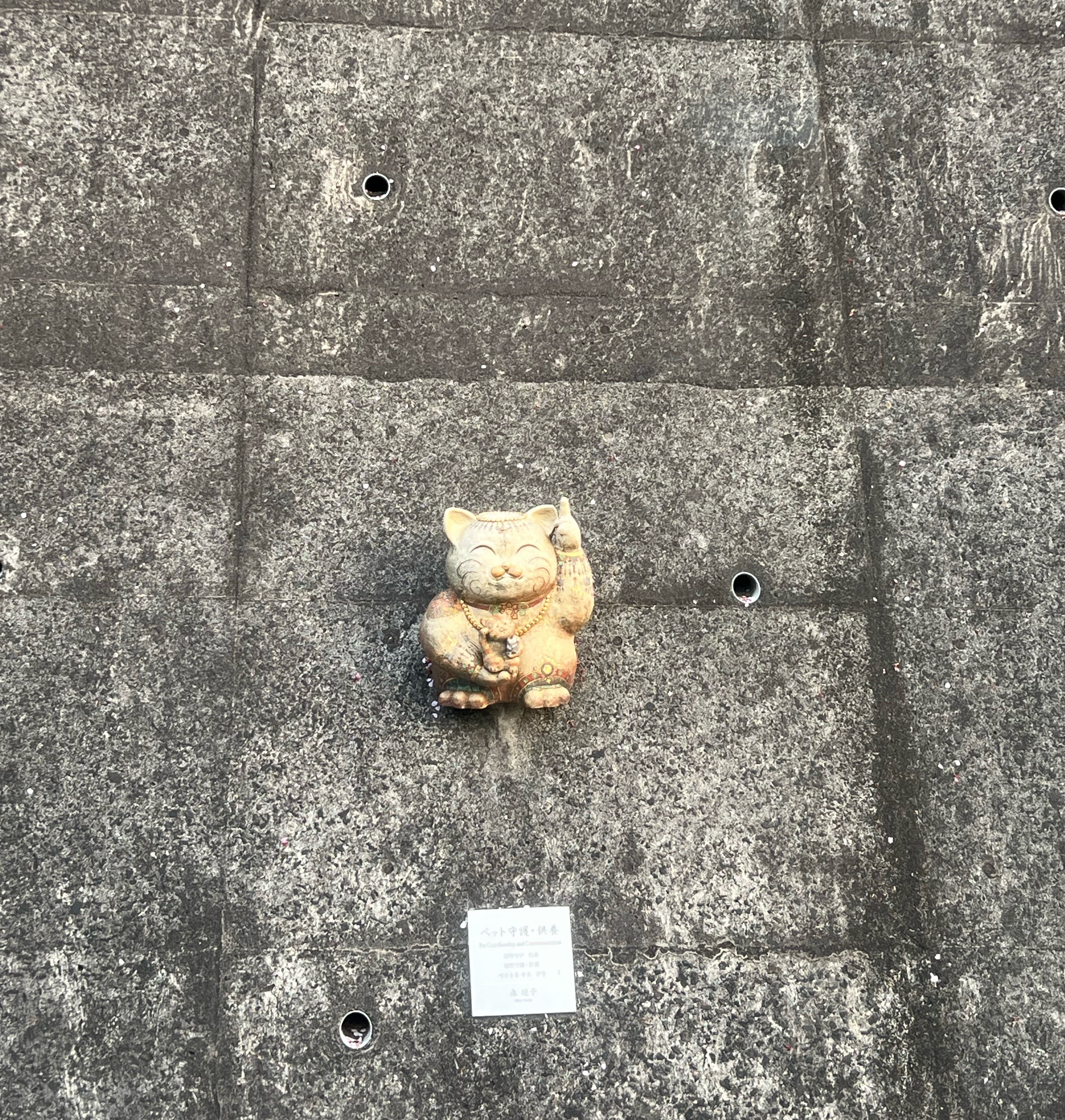 据说，笑一笑就相当于2000块巧克力带来的甜蜜，相当于中了160万人民币奖金的刺