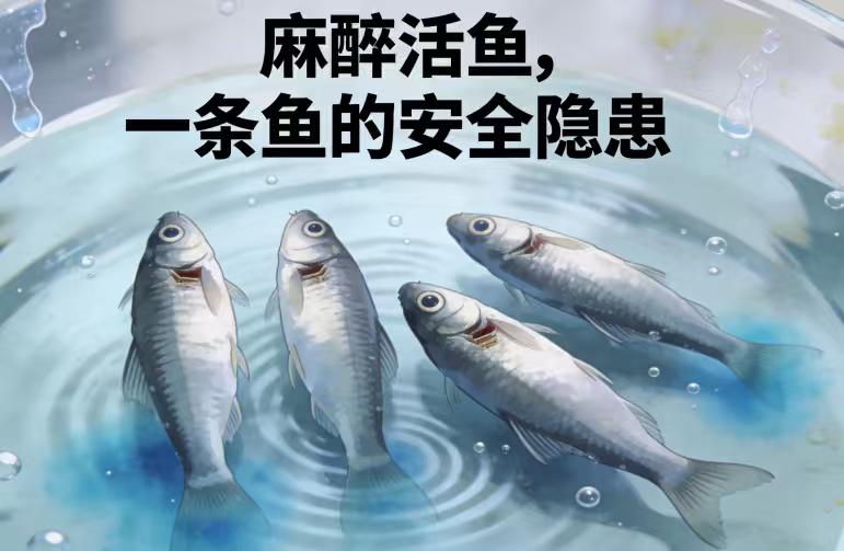 央视曝活鱼被“人为麻醉”：餐桌上鲜活的鱼，可能“喝过”工业酒精
你买回家的活鱼，