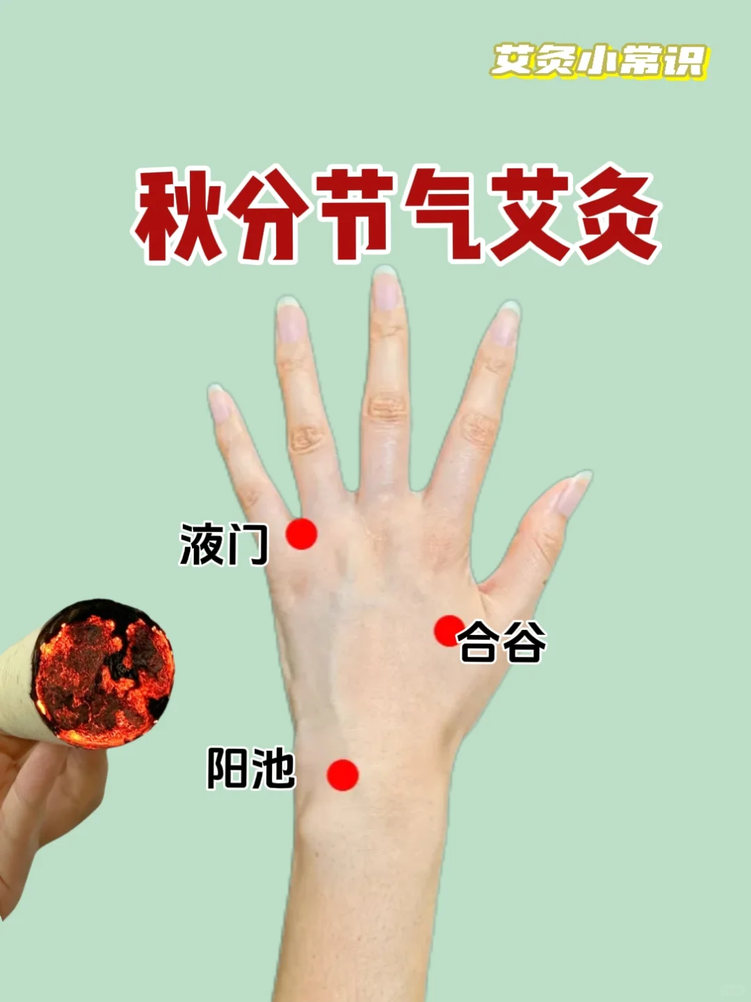 秋分时节灸起来 收藏备用