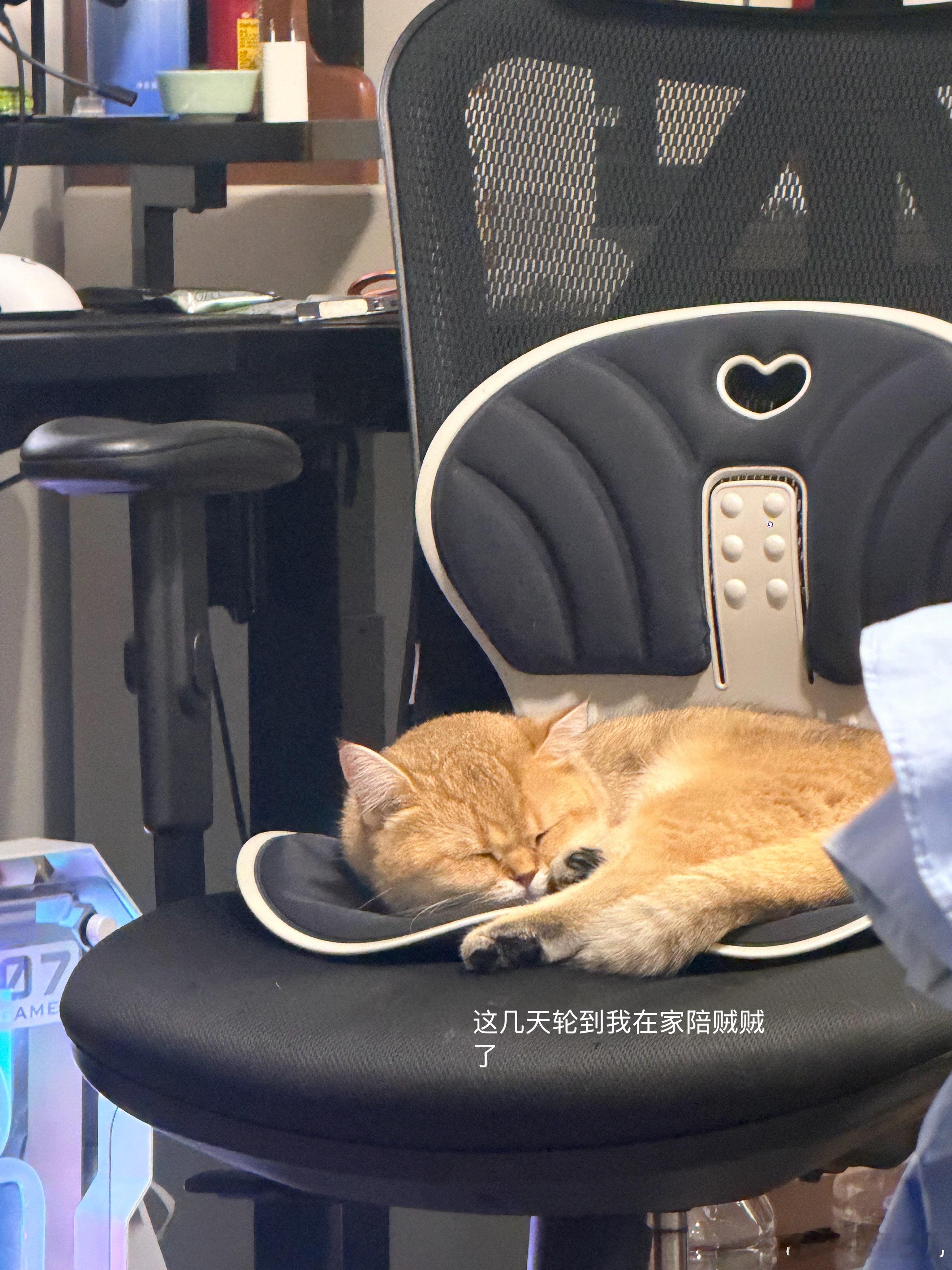 昨天晚上又烧到了 38 度 5，去急诊抽血配药，开了 3 天病假。现在好多了，然