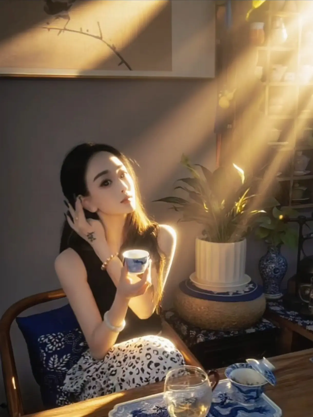 爱喝茶的女人  老茶客