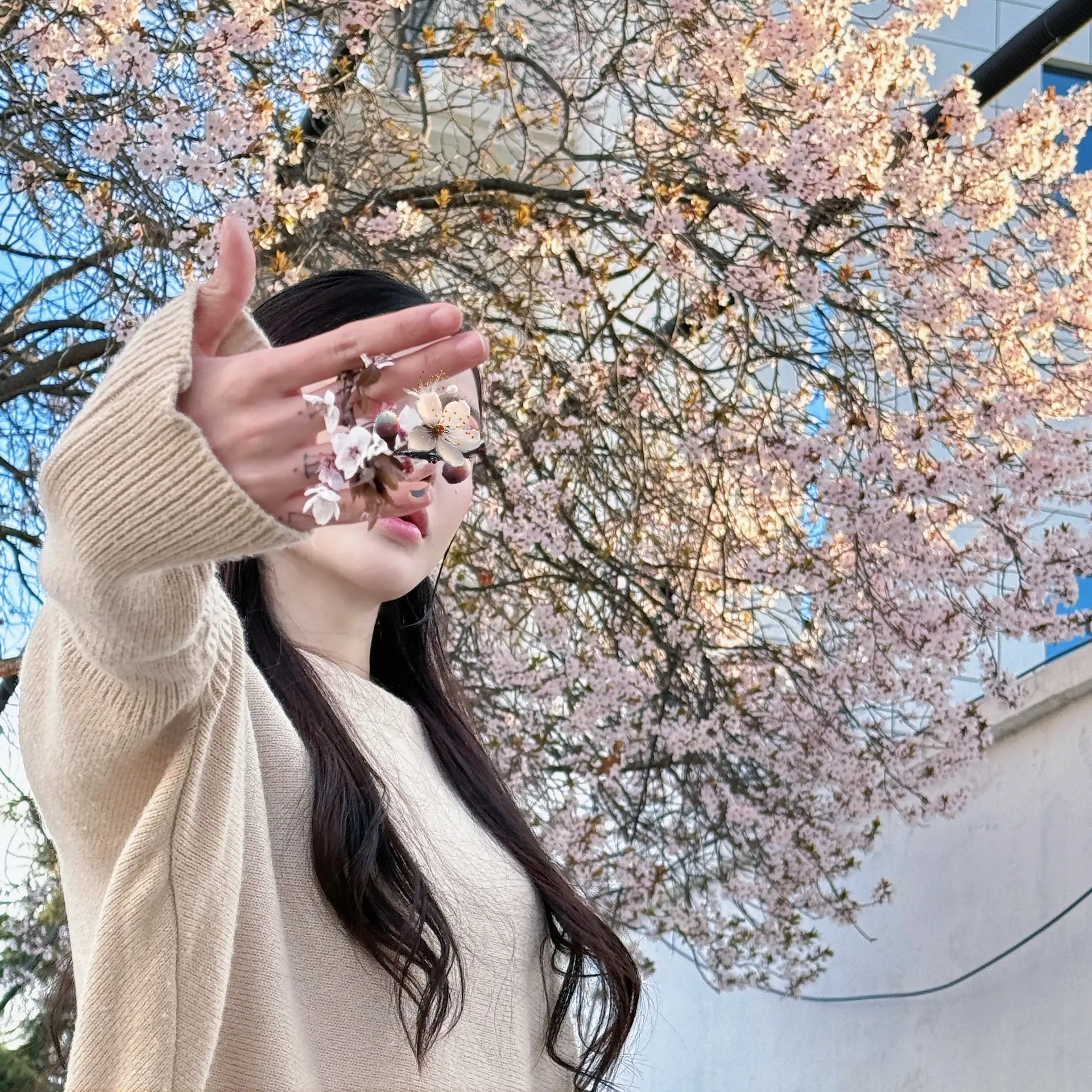 幸福的秘诀就是不奢求削好的苹果