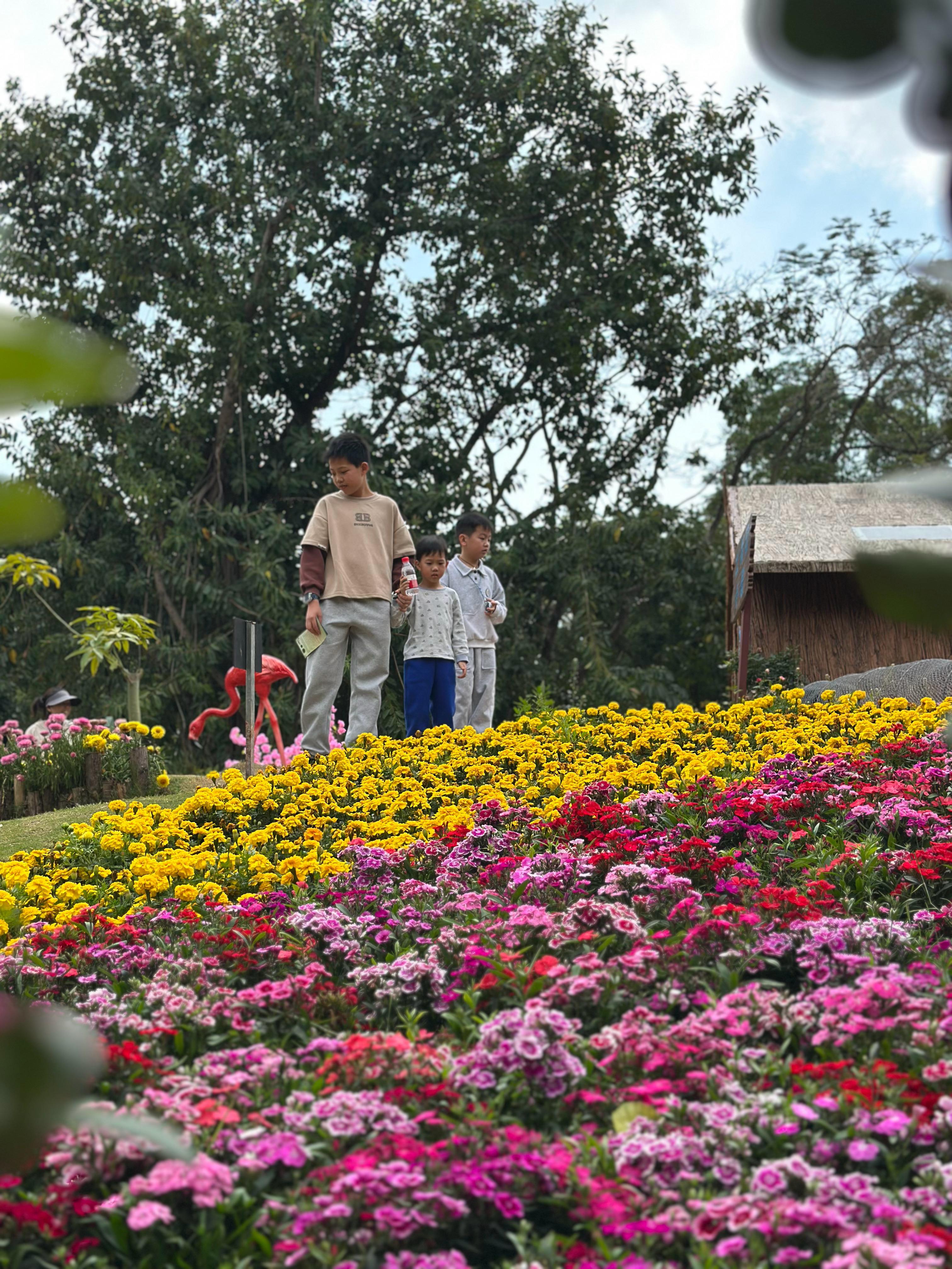 “感觉到了的东西，我们不能立刻理解它，只有理解了的东西才更深刻地感觉它。” 深圳