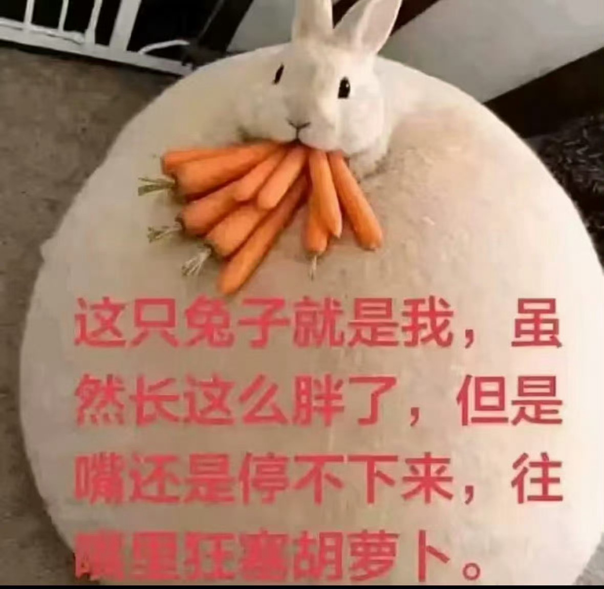 欧巴欧尼，礼貌申请八月的续航计划吖 