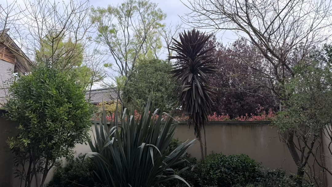 早呀，一眼郁郁葱葱