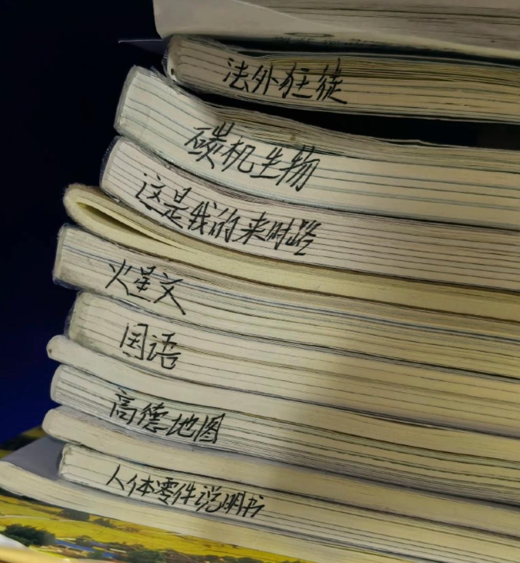 有懂翻译的么？这都是什么课程[捂脸]