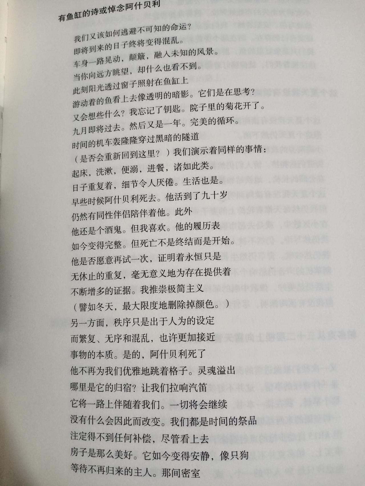 在年味里，寻一方心灵桃源

成年人的世界，像背负着无形的巨石，每一步都走得沉重而