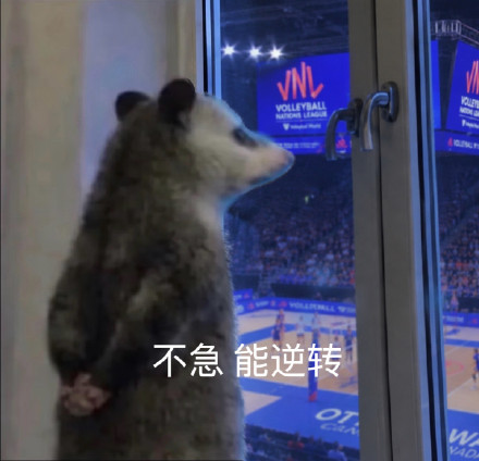 抱着信念感看球 