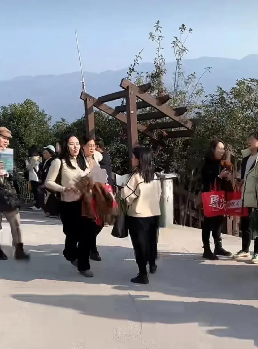 董宇辉的zmn粉丝们跋山涉水跟来了重庆，太不容易了！
