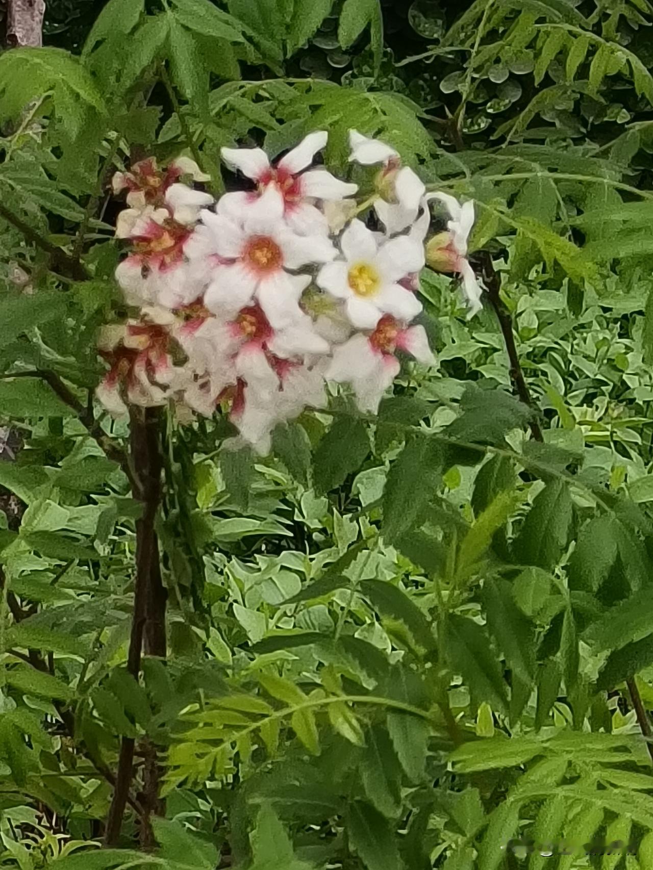 天气转暖，逐渐热起来，穿裤衩背心的也开始多了，路边卖凉皮凉面的也活跃起来，大家又