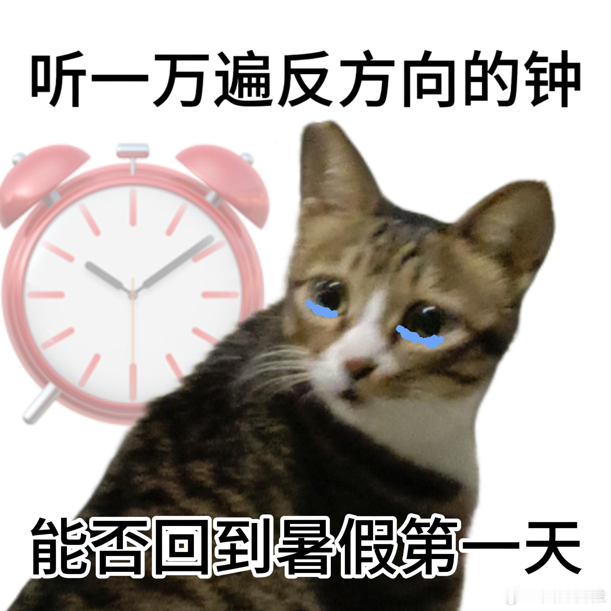杭州大学生返校包里多了只空瓶杭州美妆消费打开新方式 开学季杭州大学生行李箱掀起新