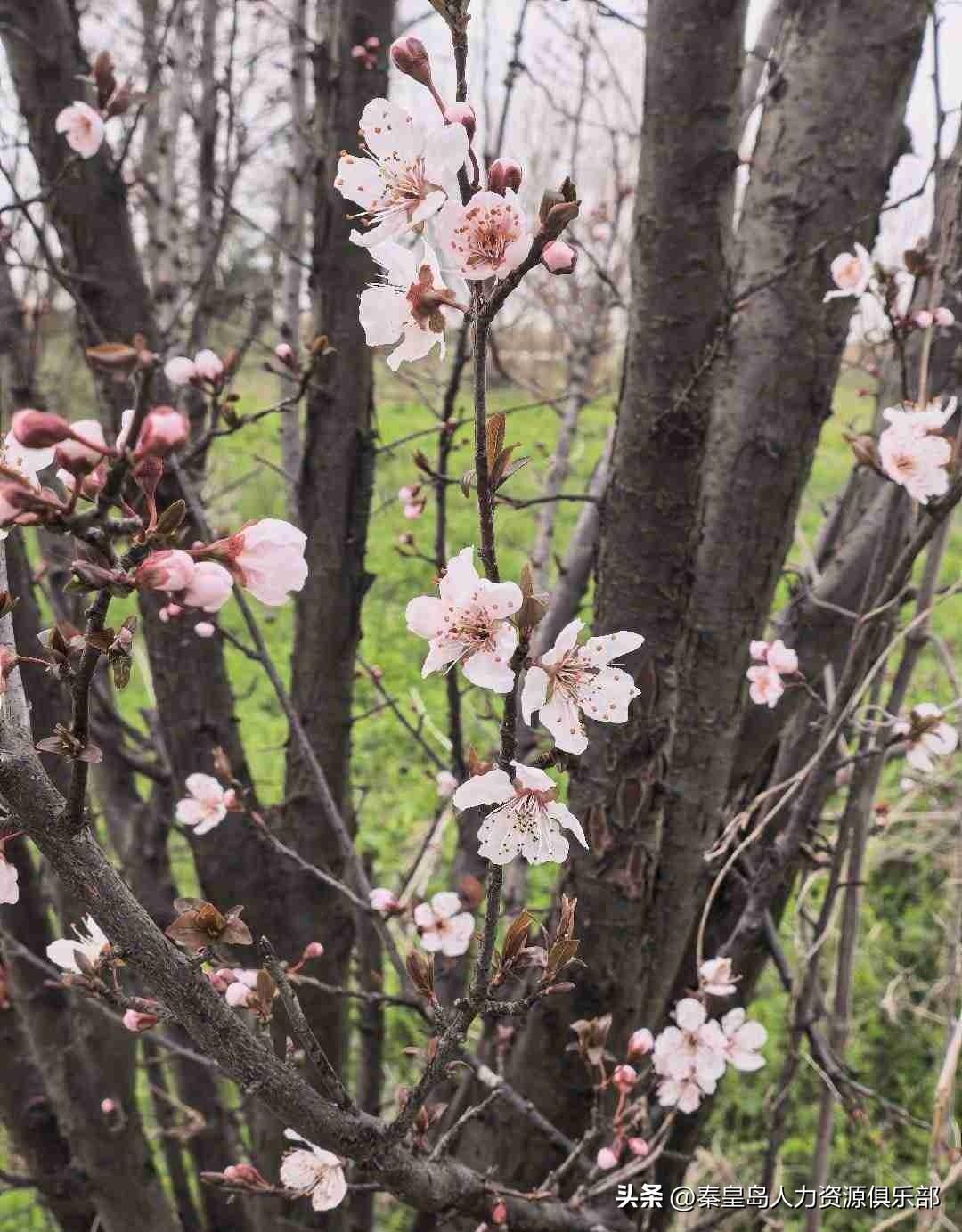 我的今日状态：😁轻松愉快
我这里的天气：☀️晴天