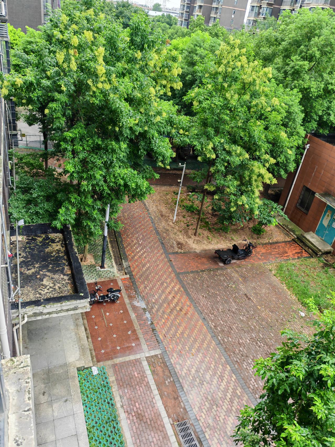 7月22日，武汉阴天有中到大雨，强对流黄色预警，最高气温29度，最低气温24度，