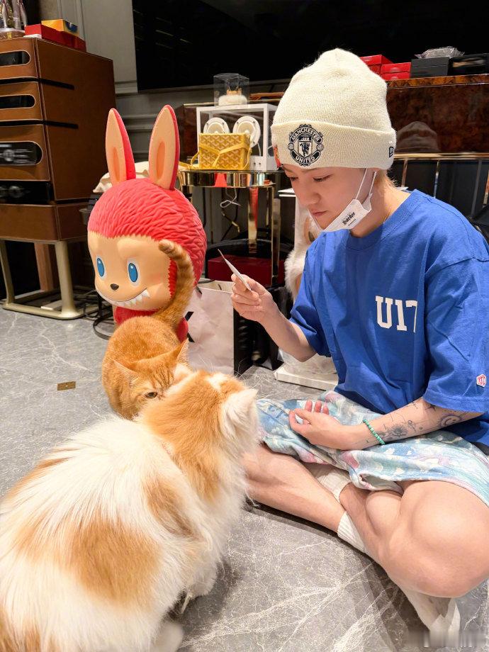 这图中有三个萌物，鹿晗和小猫我都笑纳了！