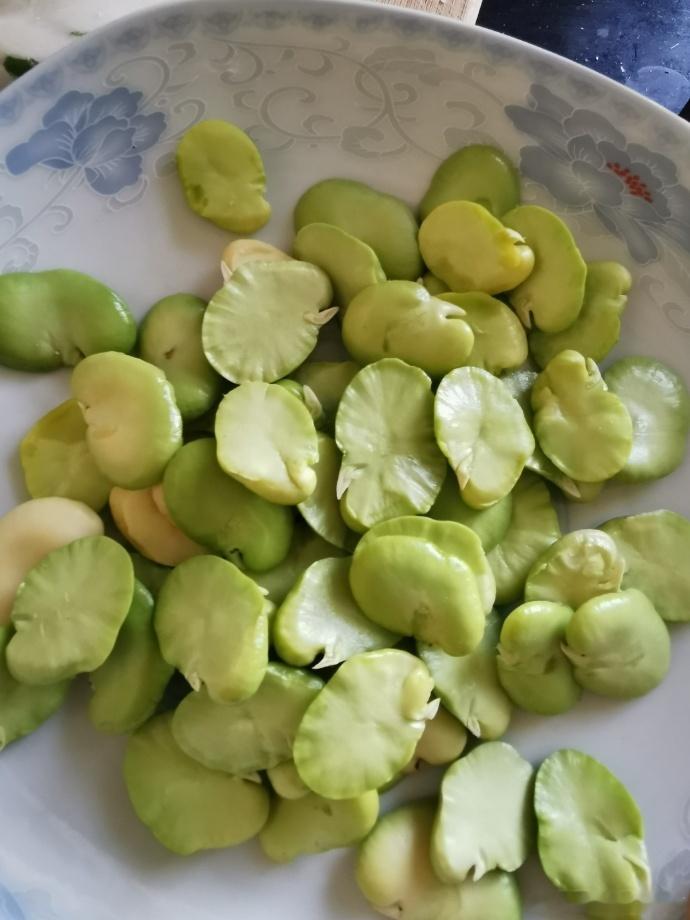 云南生活青蛙背石板🐸，云南特色小吃，每年青蚕豆上市都要吃一次，青白相间，软软糯