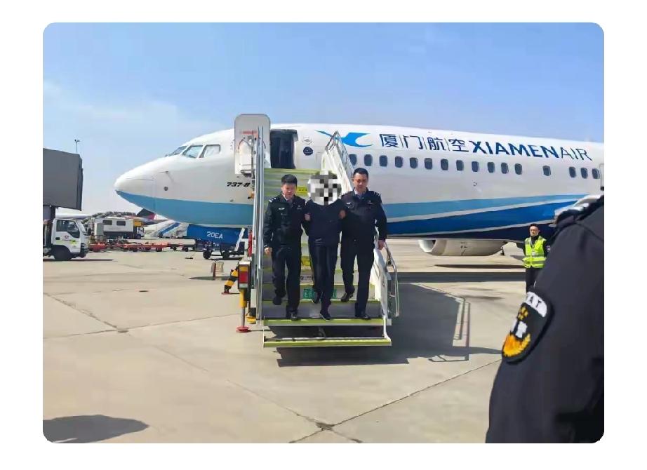 3月25日，骗取6.6亿银行贷款的张某被辽宁公安机关从境外押解回国。从2018年