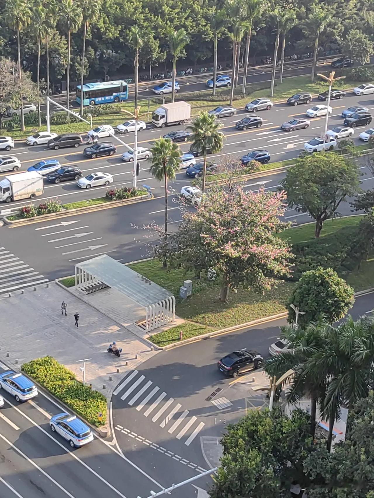 今天周末，闲来无事，于是我就在高台俯视街道。这是深圳同一个地方，不同的风光。
太