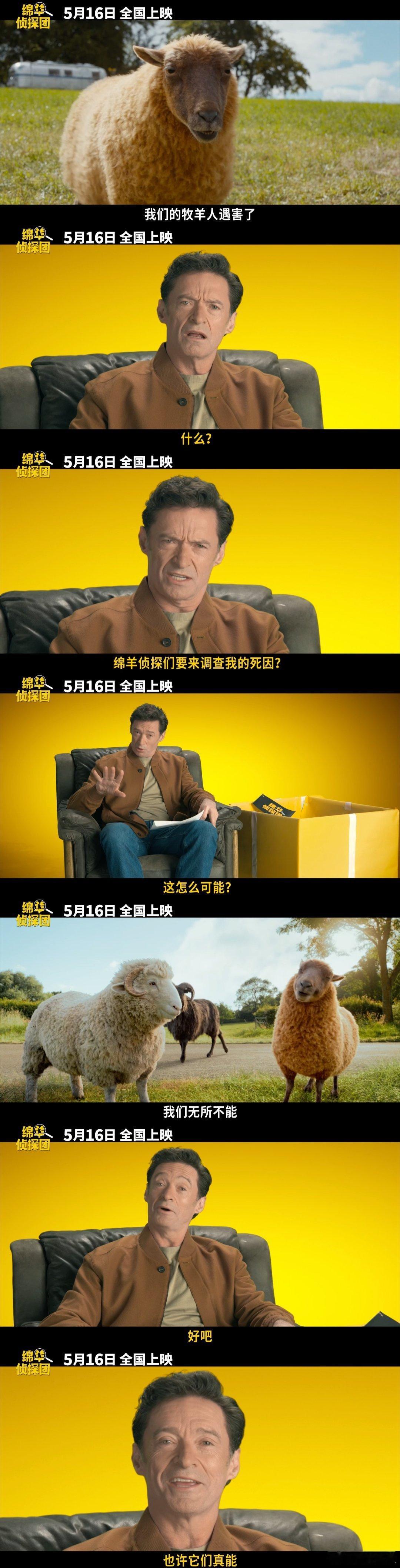 人类为3000万勾心斗角，小羊却只在乎主人清白，毛茸茸侦探团又勇又忠诚，这对比太