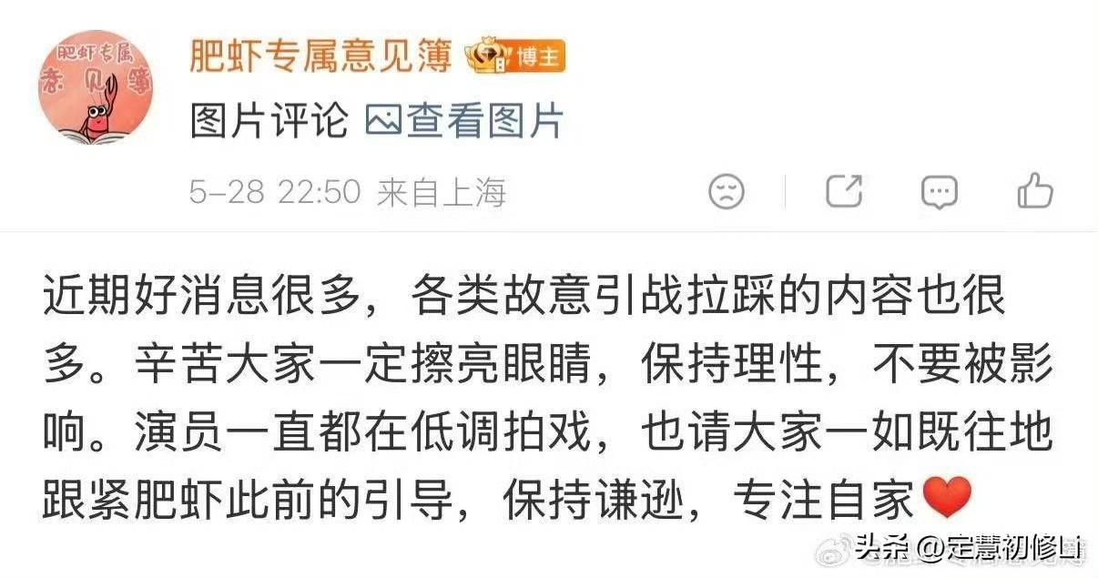 肥🦐贴心提示不要被各类营销号拉踩引战，小飞侠只管全平台宣传藏海台词演技，不提不