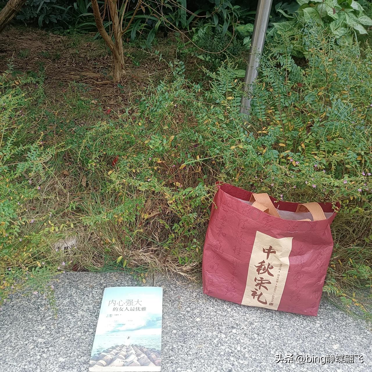 这里，真是个读书的好地方，风景美丽又清静，空气清鲜。
#秋日生活打卡季# 
 