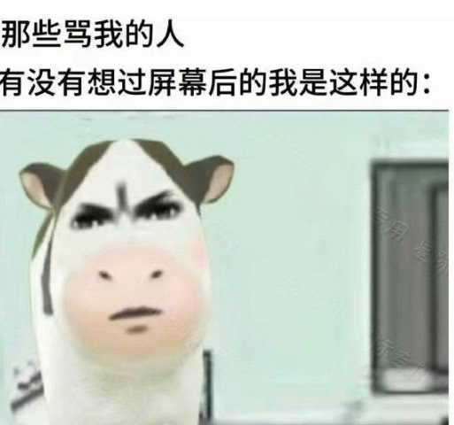 近期爱用表情包分享牛图表情包｜实用表情包｜搞笑表情包｜抽象表情包｜恋与深空表情包