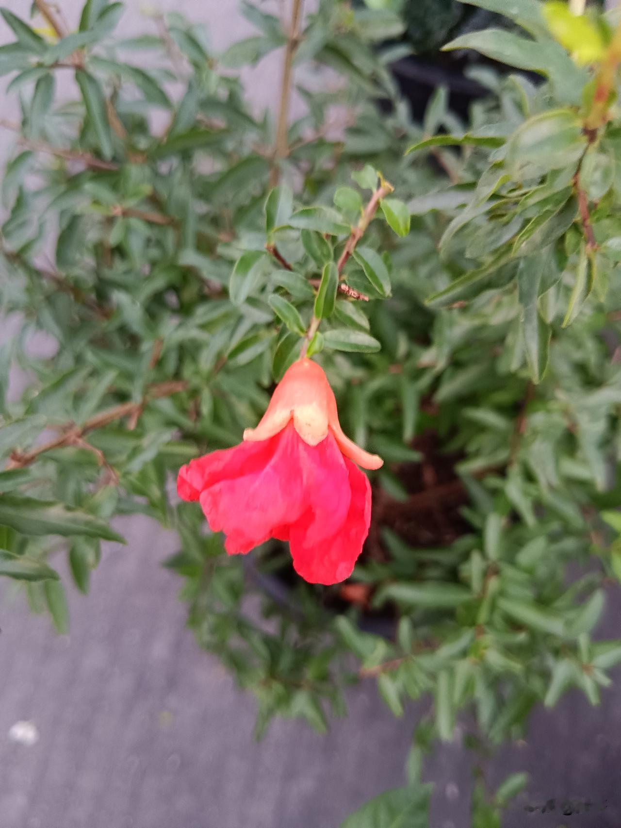 有在参加，有收益。友友们可以参加。