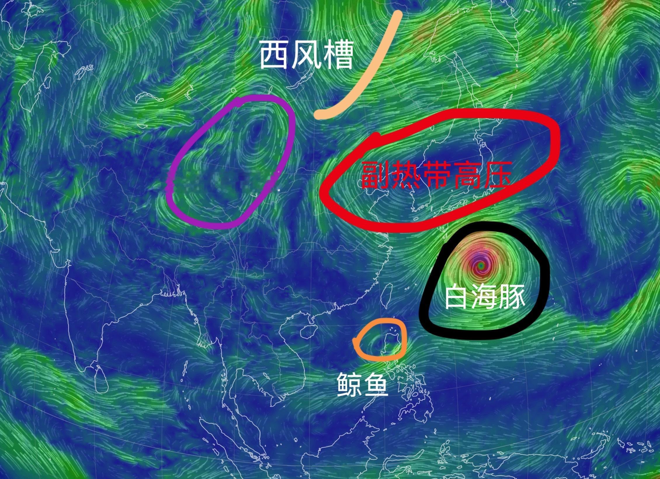 台风白海豚台风白海豚路径 特别篇：【请选择白海豚的路径】—————开 篇 备 注