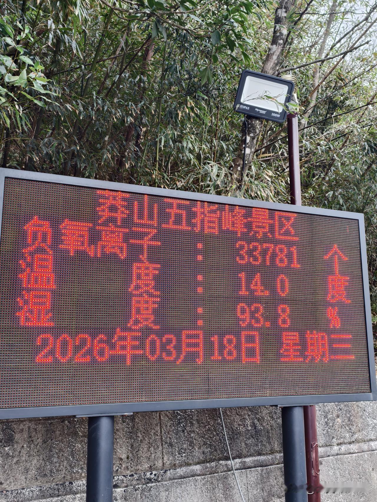 第二次前往莽山。去年专程前来，却赶上索道缆车年检，景区关闭。这次路过，历经长途跋