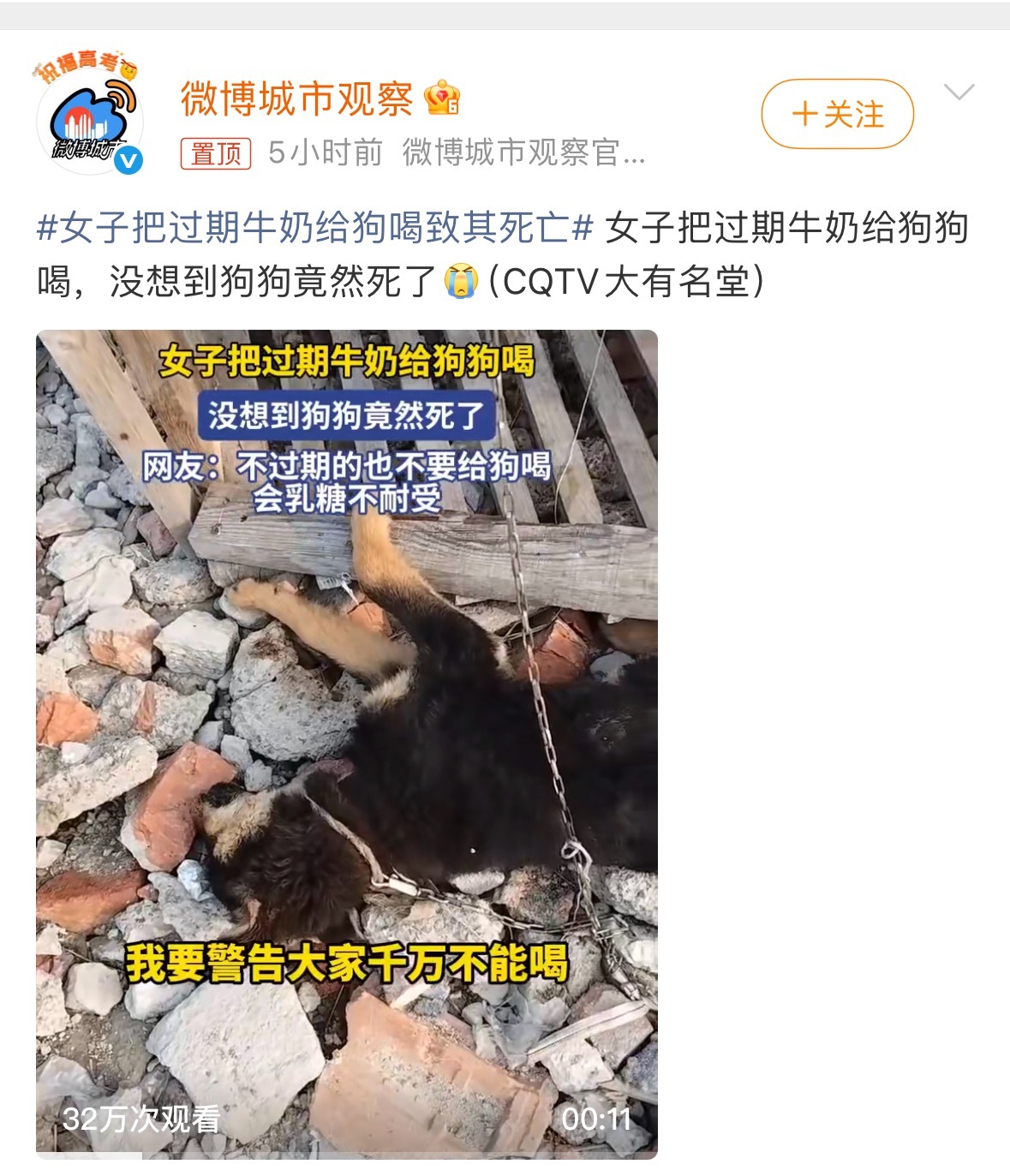 女子把过期牛奶给狗喝致其死亡略狗区绞尽脑汁不如爱狗人士灵机一动 