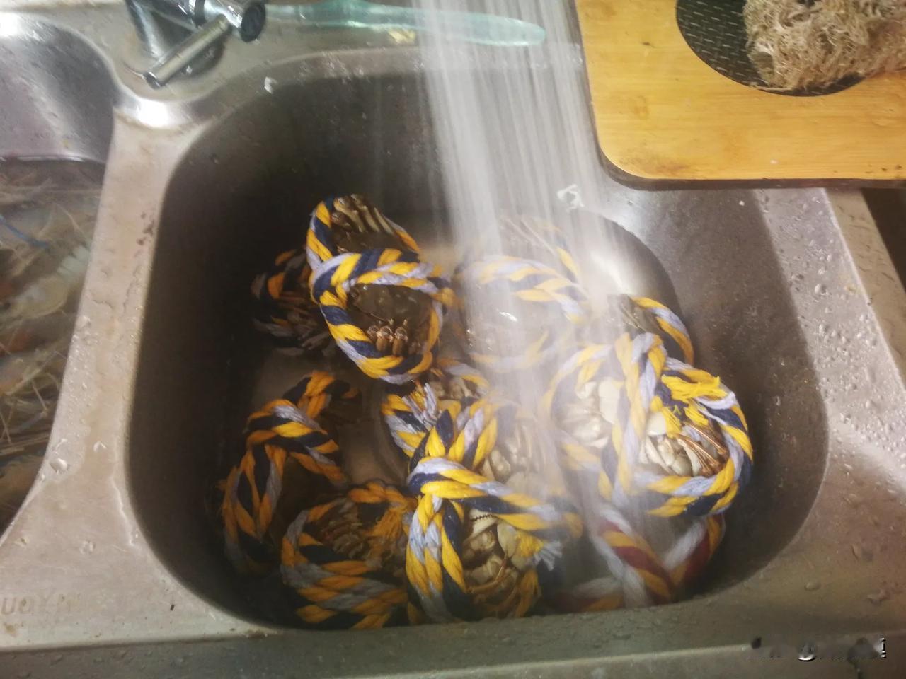 今天不开档，来堂弟家蹭吃蹭喝