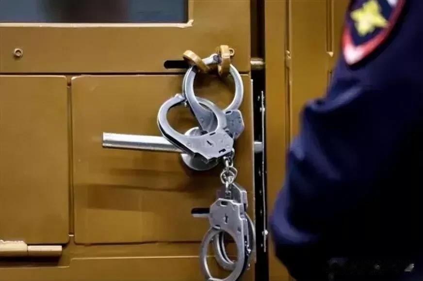 俄罗斯一名商人试图加入乌克兰武装部队的外籍军团，事情败露后被判处有期徒刑11年。