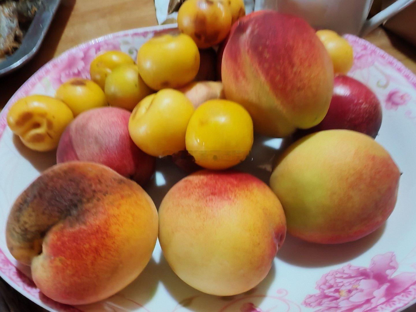 这才是自然熟 青岛
