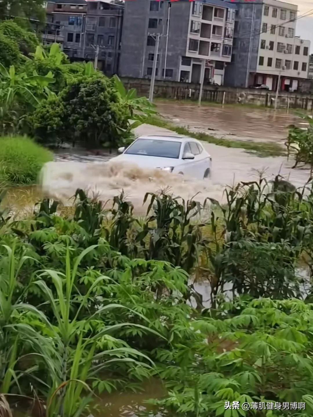 这位司机车船税没白交！