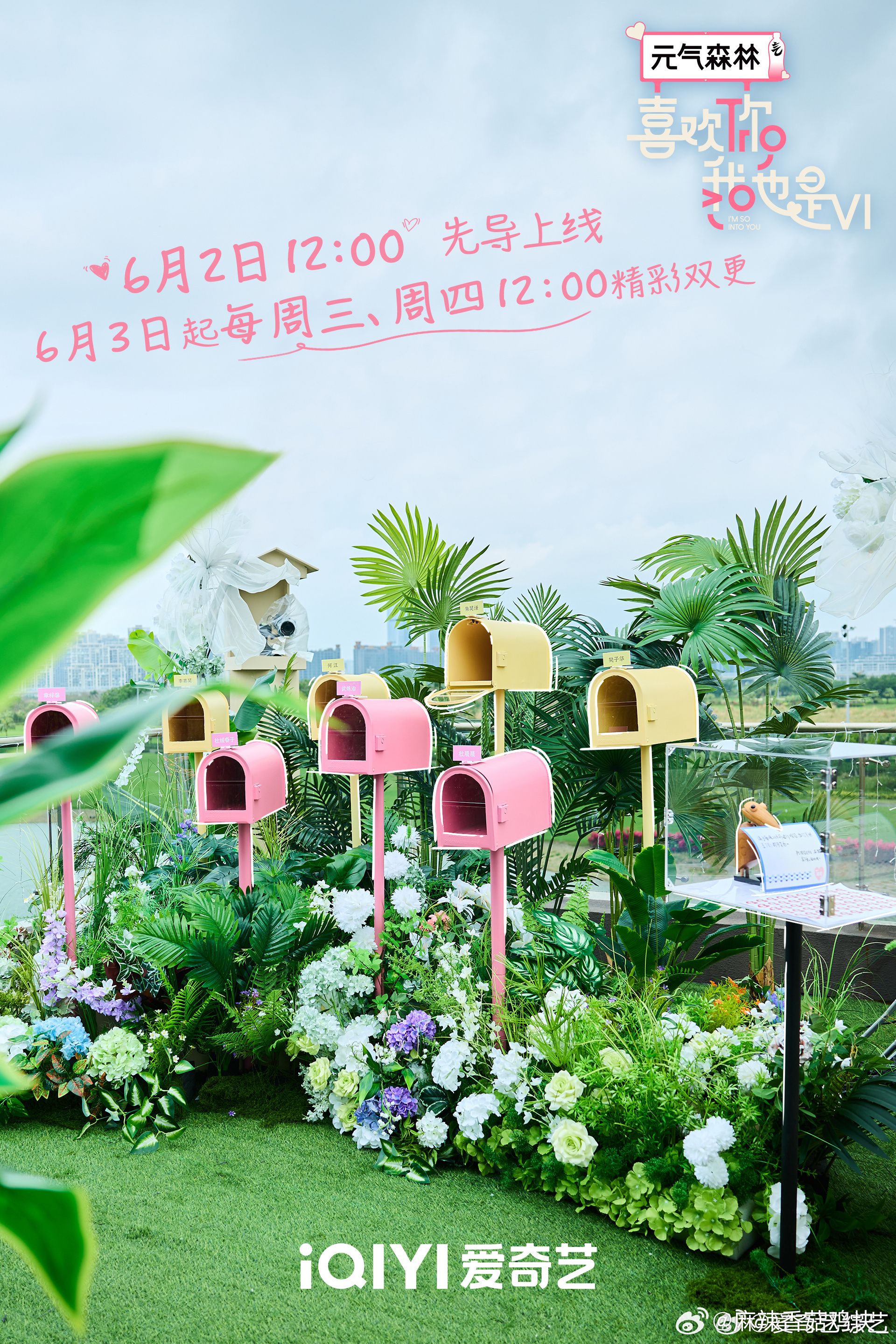 喜欢你6定档0603一起磕糖！ 