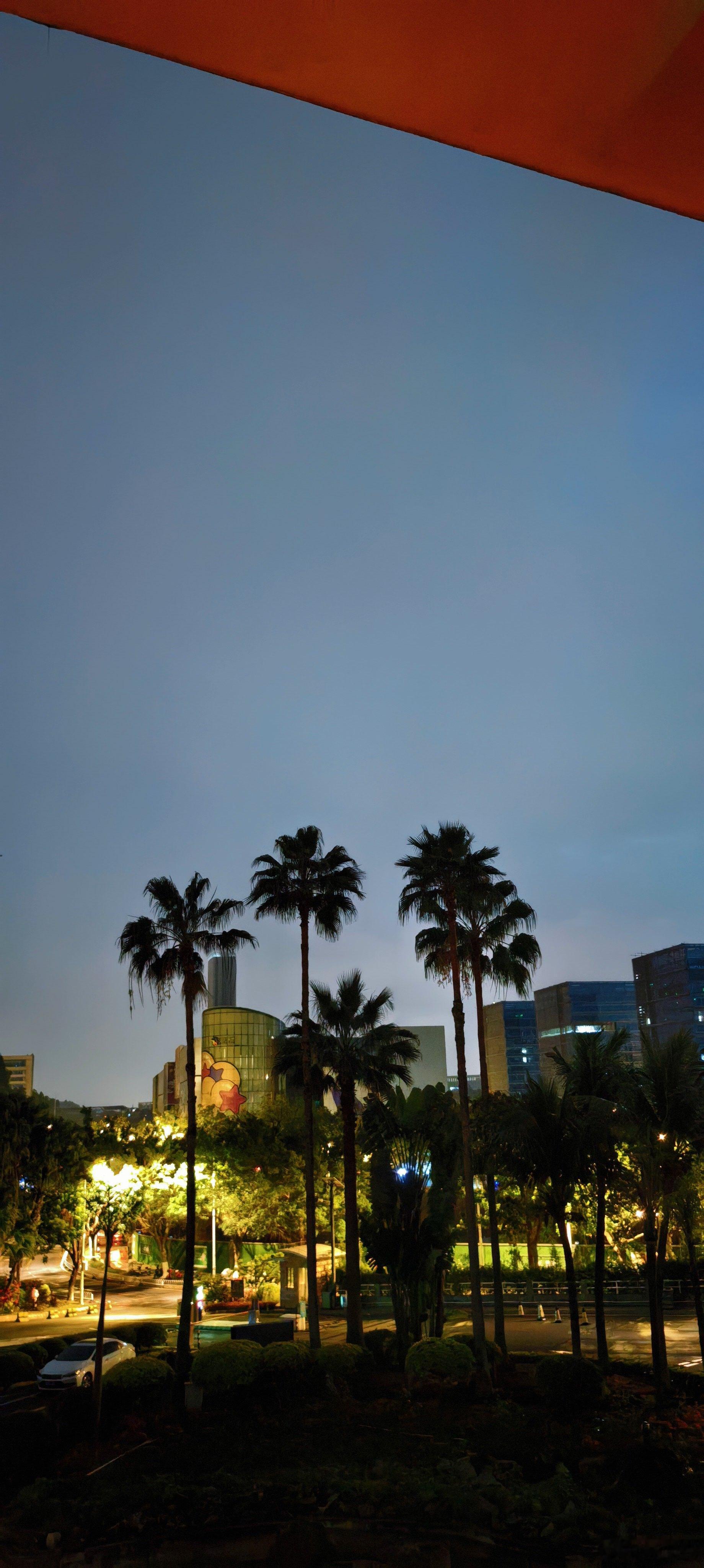 早安各位出发去机场，打道回府 