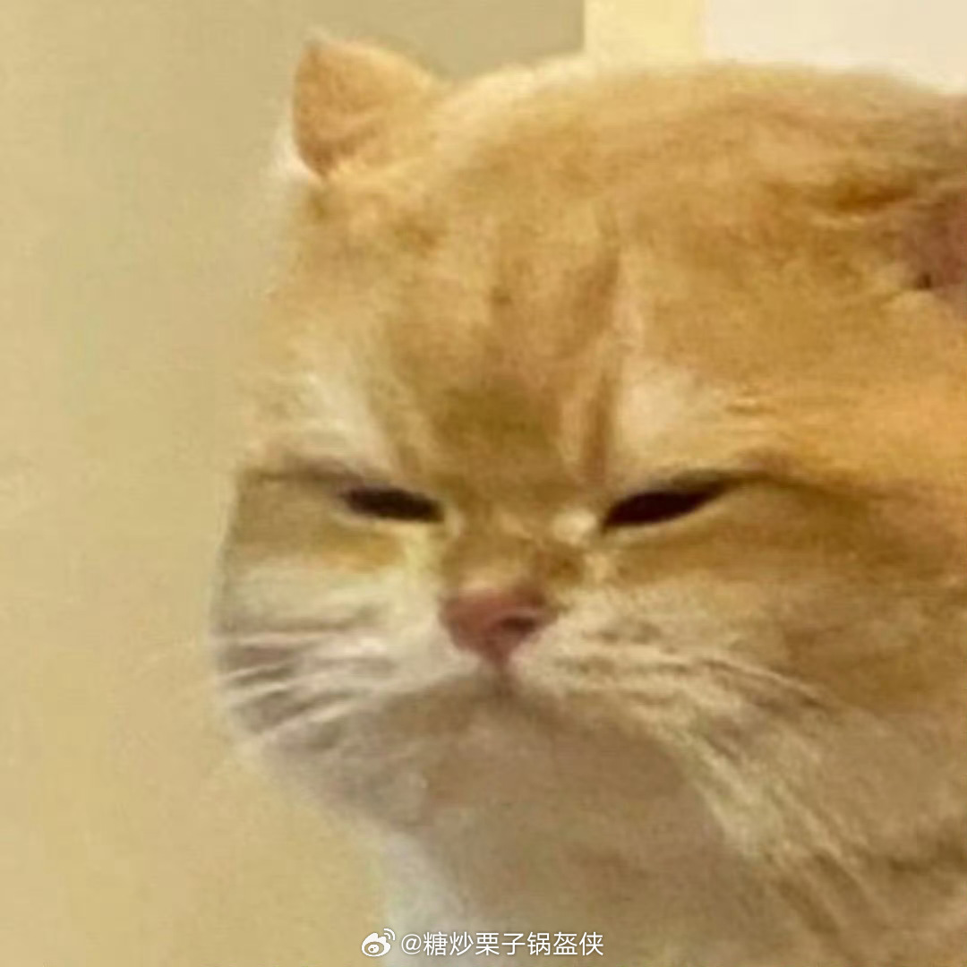 一看明天的天气预告……整个人都不好了……最烦下雨天出门上班……这雨能不能别下了