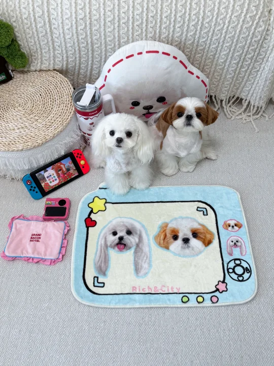 小狗们励志要开杂货铺