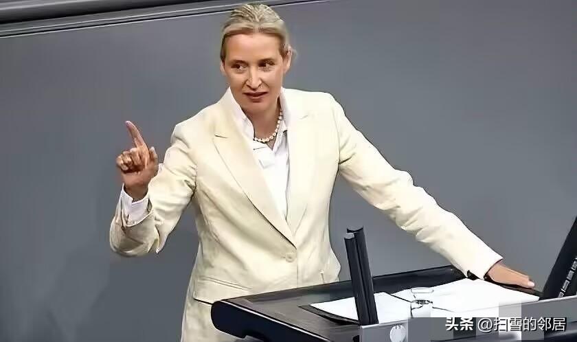 德国选择党联合主席魏德尔表示，欧洲必须承认这样一个现实，如果没有俄罗斯的参与，欧